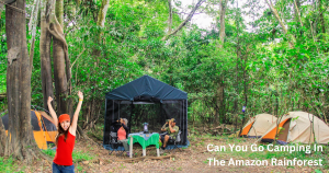 Can You Go Camping In The Amazon Rainforest