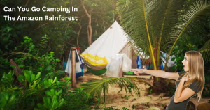 Can You Go Camping In The Amazon Rainforest