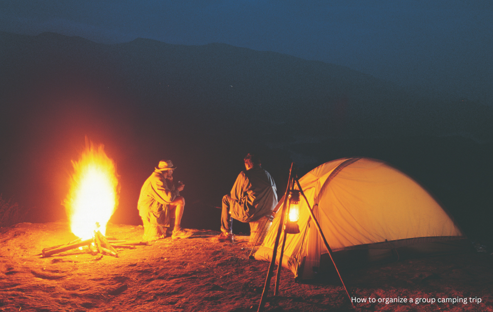 How to organize a group camping trip