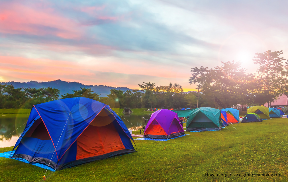 How to organize a group camping trip