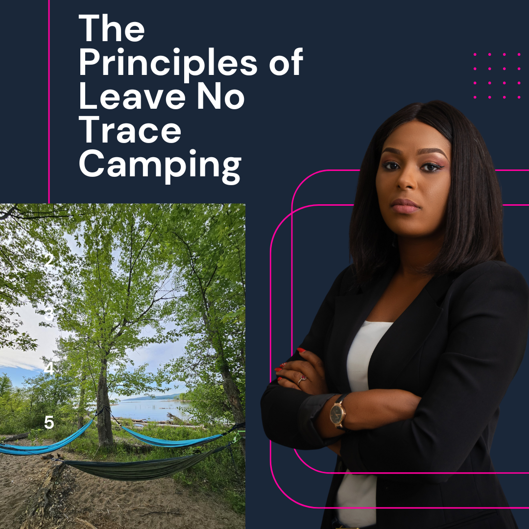 Leave No Trace: Your Guide to Eco-Friendly Camping