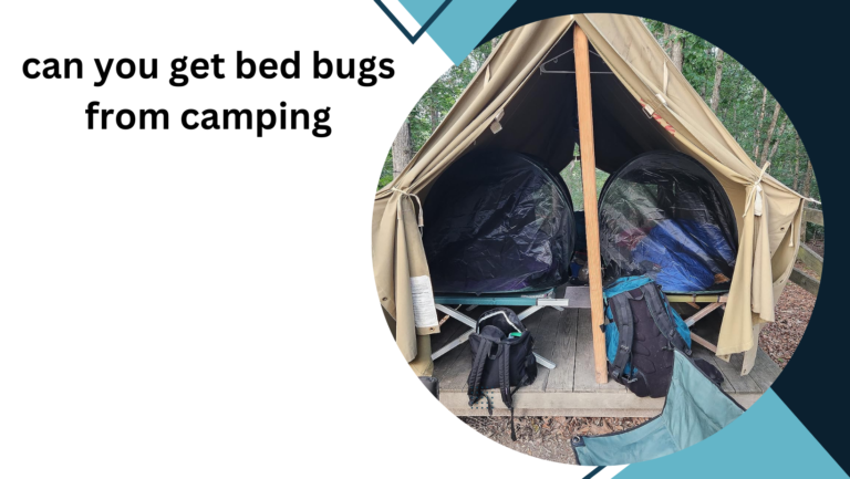 Can You Get Bed Bugs from Camping? What You Need to Know