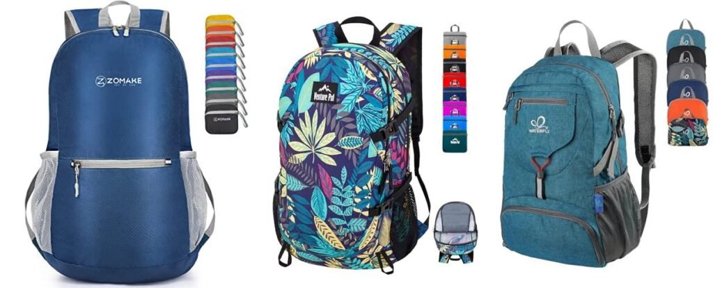 Backpack For Cruise Excursions combined image