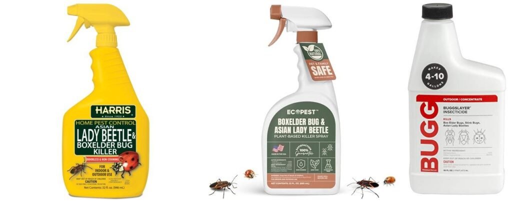 Bug Spray For Boxelder Bugs combined image