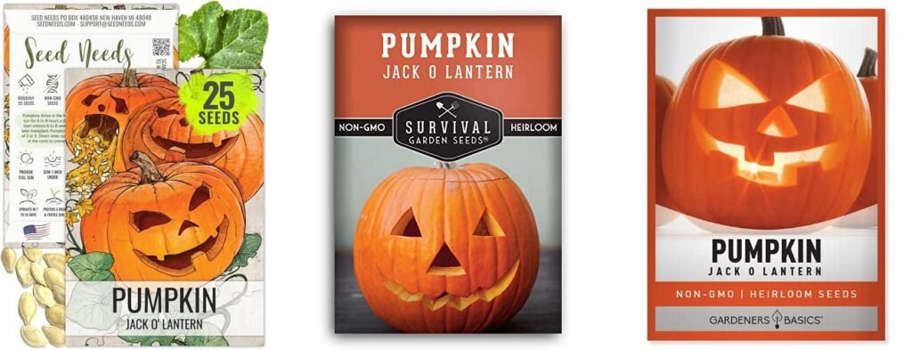 Pumpkin Seeds For Jack O Lanterns combined image